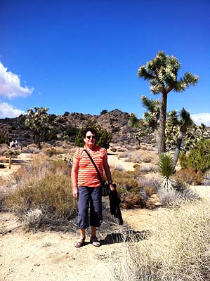 Parc National Joshua Tree  . . .