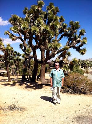 Parc National Joshua Tree  .. .