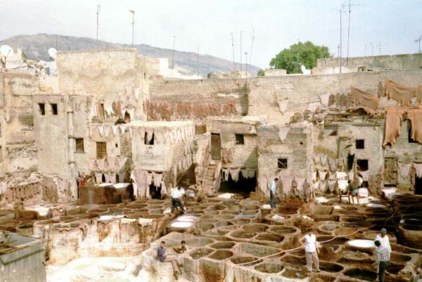 Le célébre souk des tanneurs à Fès  . . .