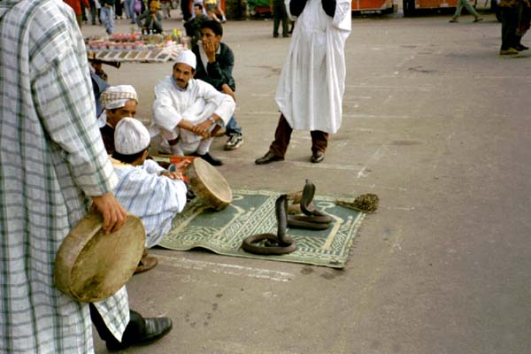 Marrakech et ses marchands  . . .