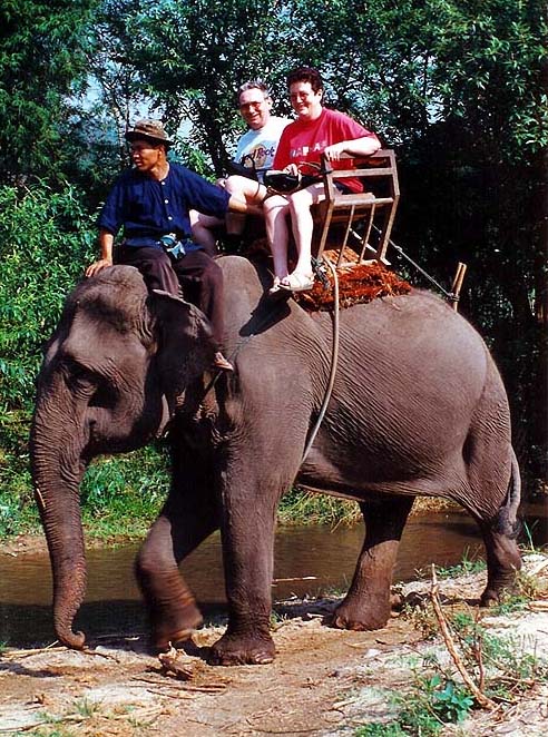 Le taxi dans la jungle de Chiang Rai  . . .