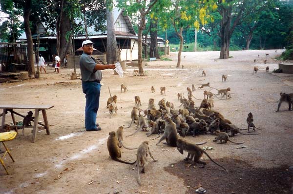 Notre guide pour le circuit dans le nord de la Thaïlande  . . .